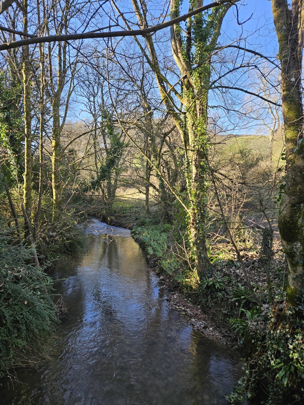 Putting The River Brit Back To Bed