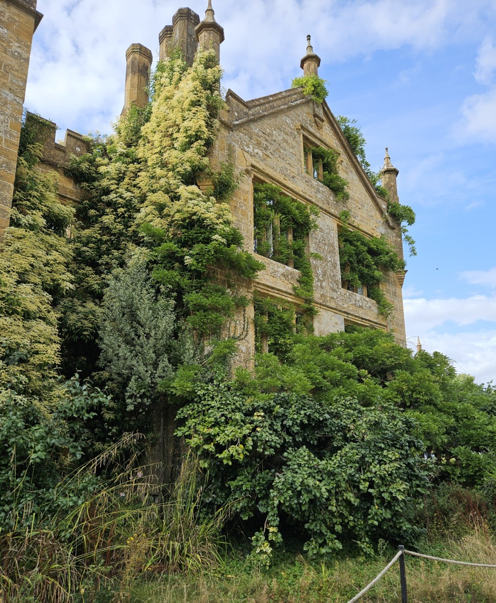 The fire-damaged shell of Parnham House, its empty windows and hamstone walls overgrown with vegetation